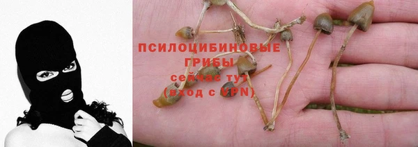 герыч Абдулино