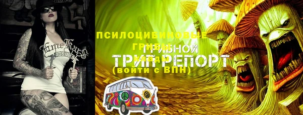прущие грибы Абинск