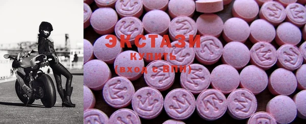 прущие грибы Абинск