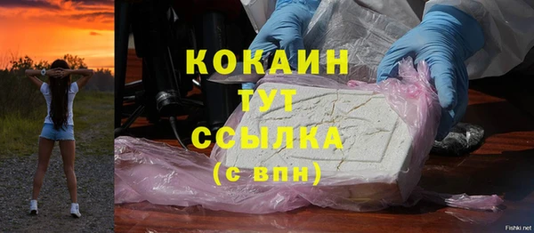 прущие грибы Абинск